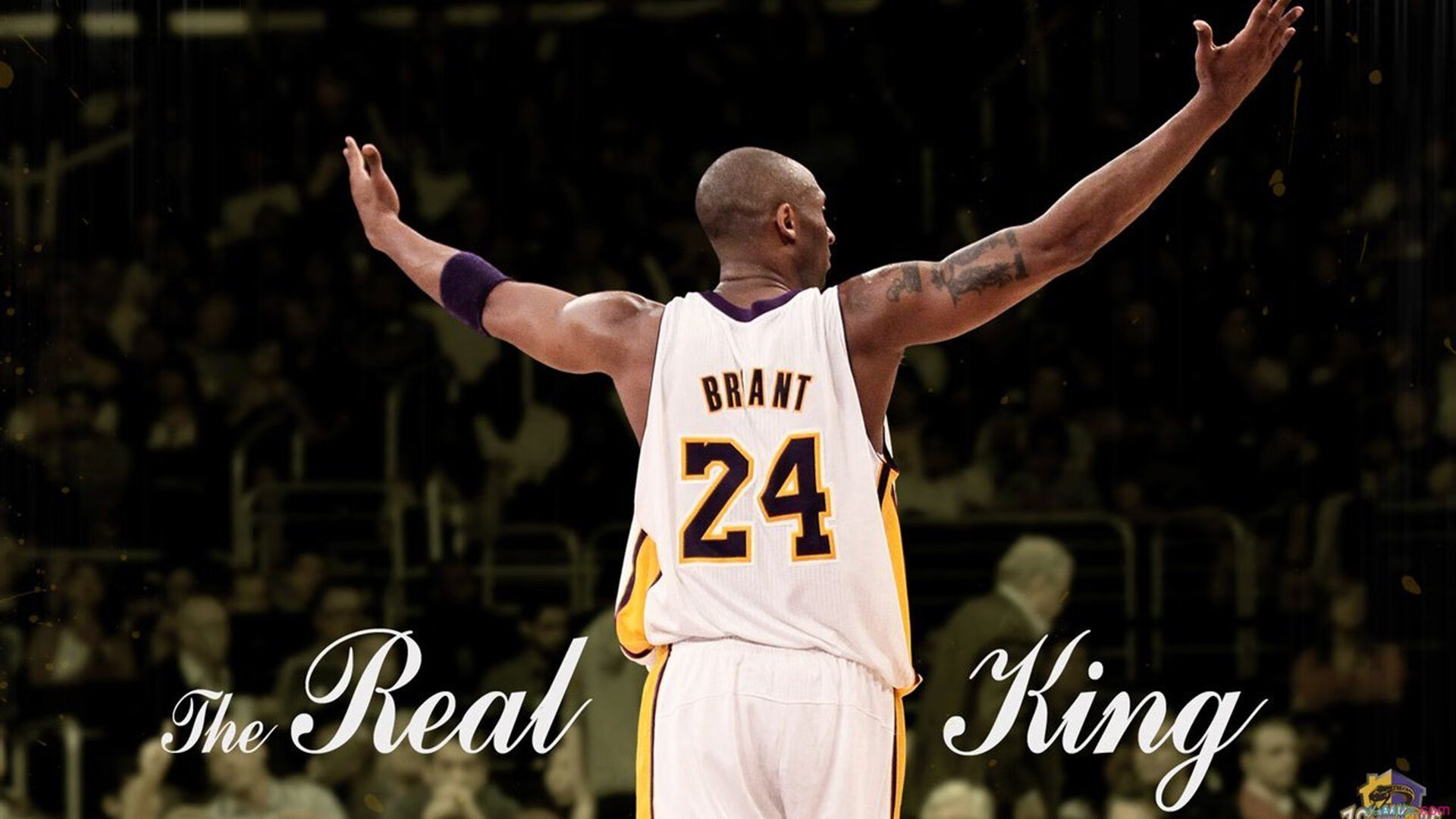 巴塞罗那不断突破！，Ning连续五场比赛得分超过持续失利赢得满堂喝彩